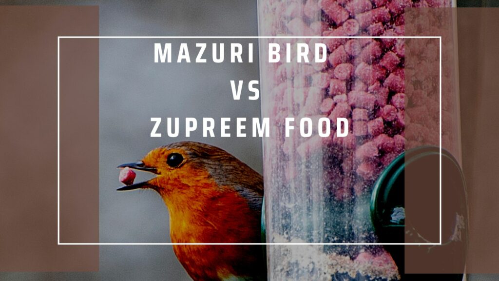 Mazuri Bird Food vs Zupreem: REVIEWED