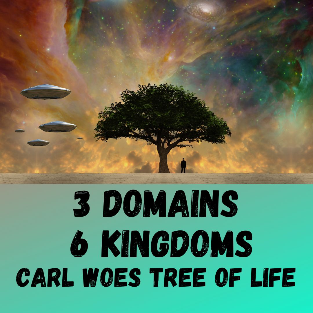 3 Domains And 6 Kingdoms Of Life [Carl Woes Theory] 