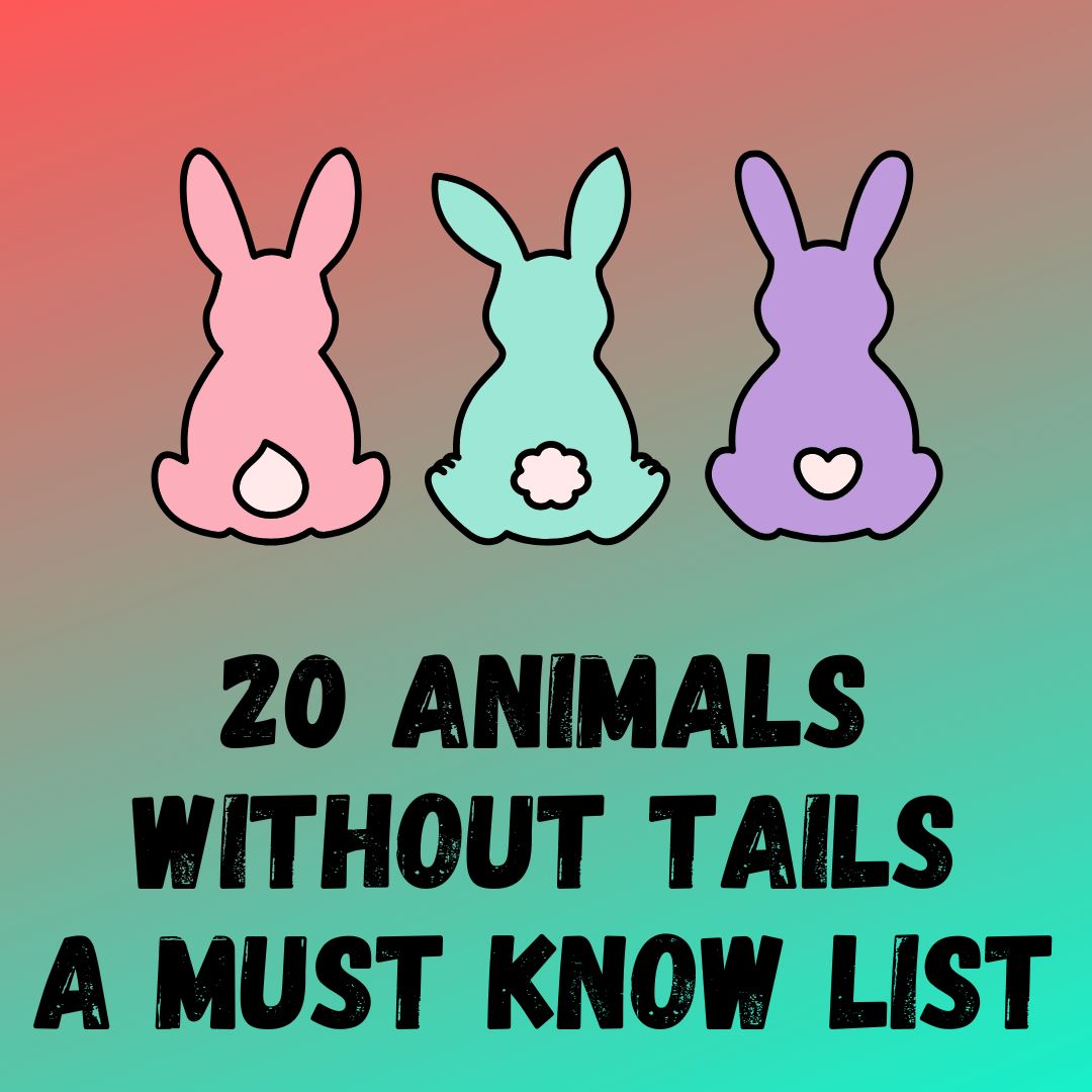 20 Animals Without Tails: A Must-See List