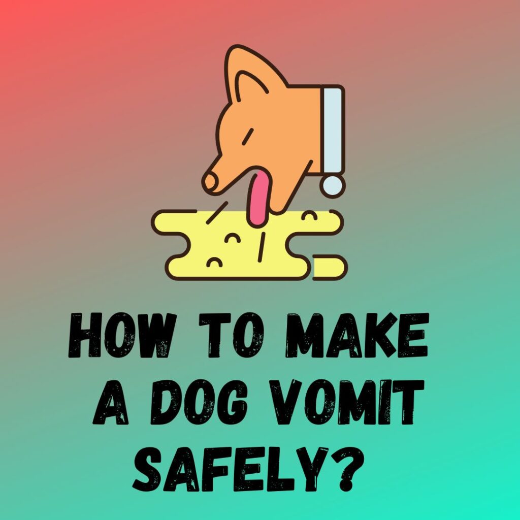 How To Make A Dog Throw Up Or Vomit Safely? 3 Easy Ways