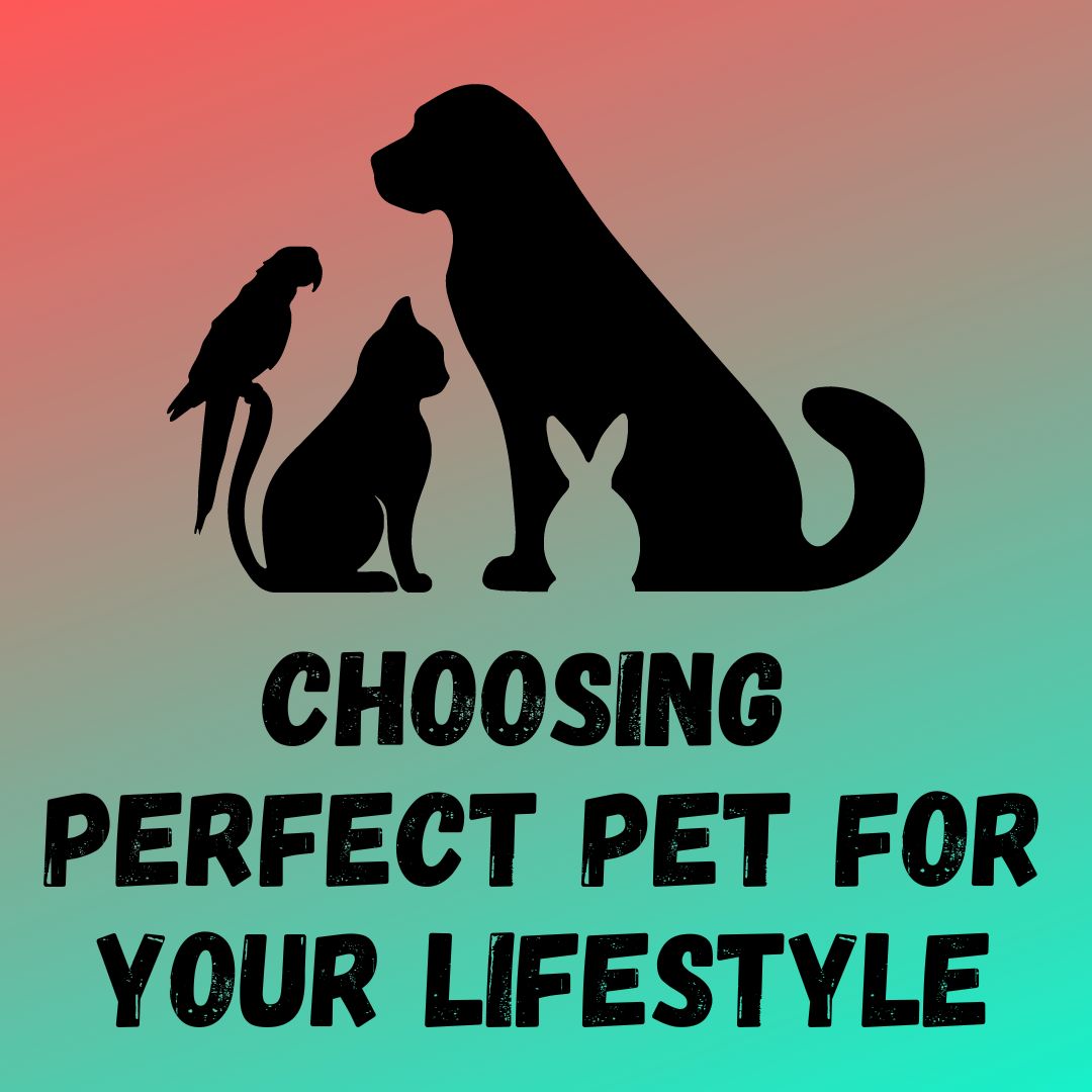 Choose the Perfect Pet for Your Lifestyle