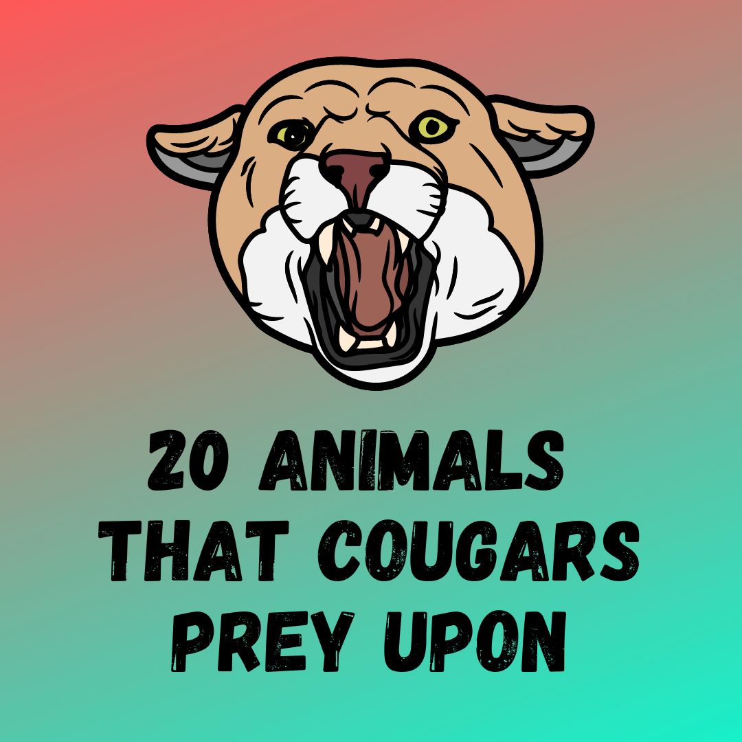 Do Cougars Eat Snakes? 20 Animals List They Prey Upon