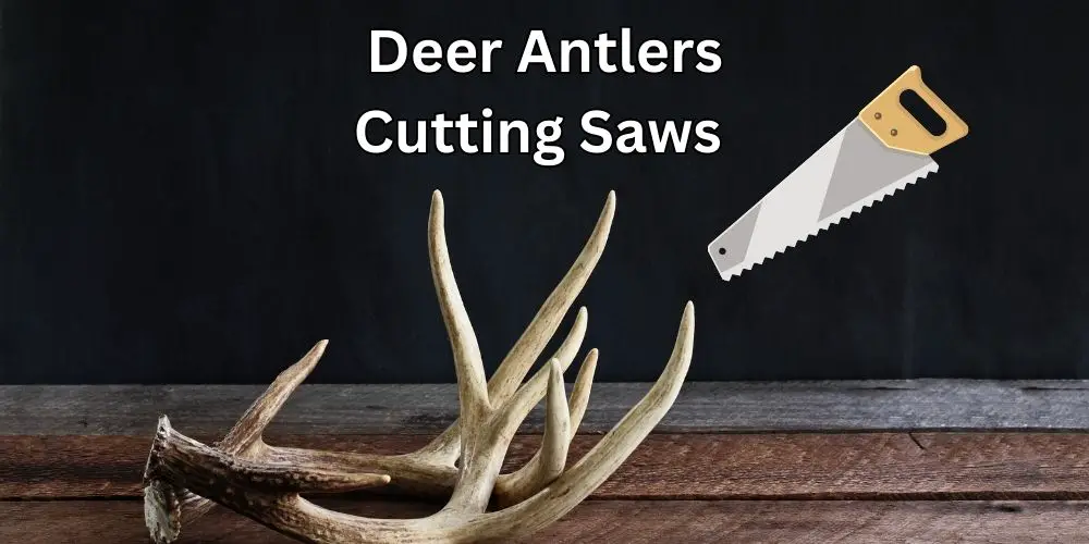 Saws For Cutting Deer Antlers and Bones