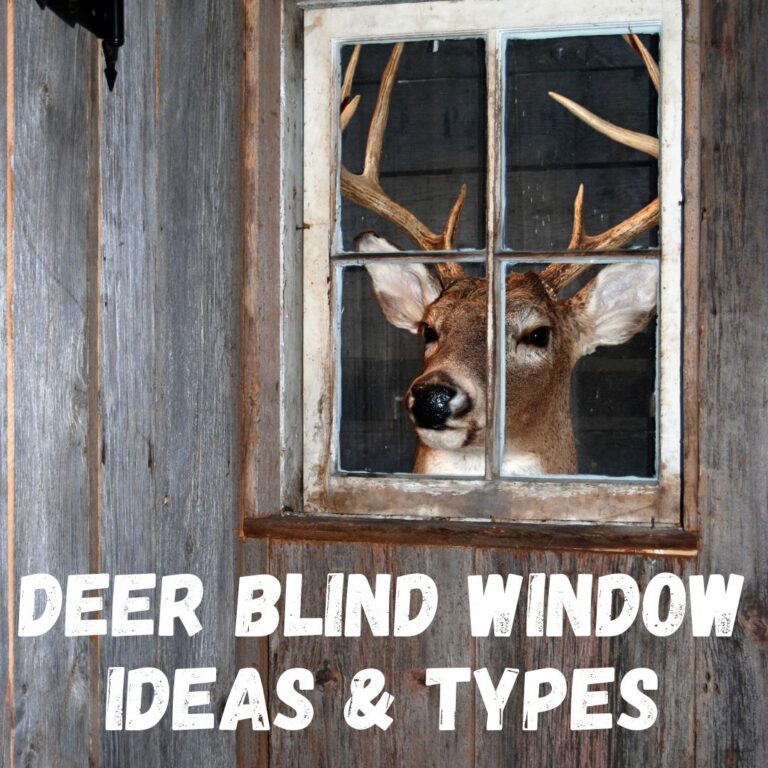 Deer Blind Window Types And Ideas Guide 2023