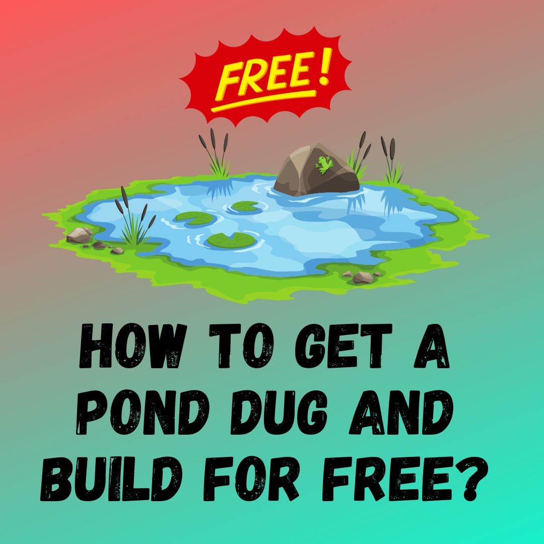 How to Get a Pond Dug and Build for Free with Govt Grants