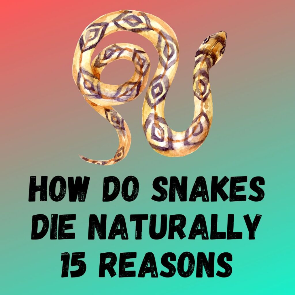 How Snakes die