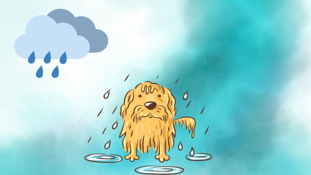 Managing Thunderstorm and Rain Phobia in Dogs