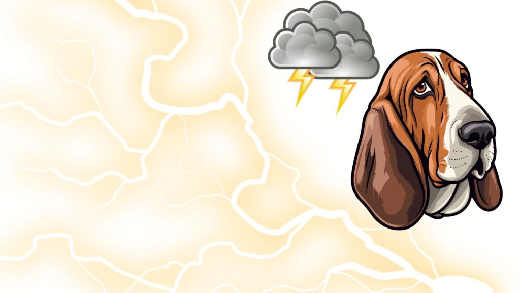 Managing Thunderstorm and Rain Phobia: