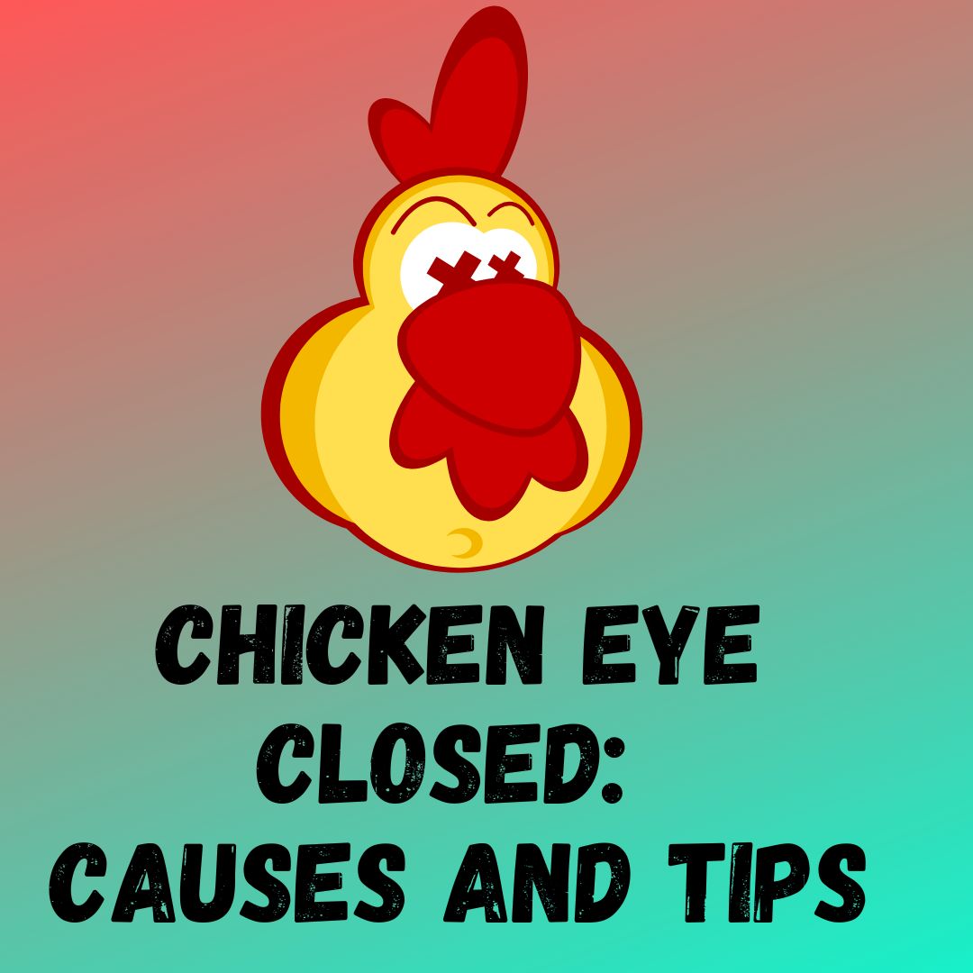 Why is My Chicken Eye Closed: 10+ Reasons and Tips