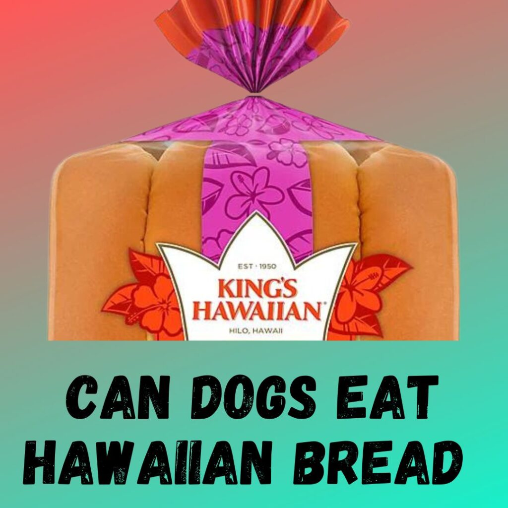 Can Dogs Eat Hawaiian Bread Buns