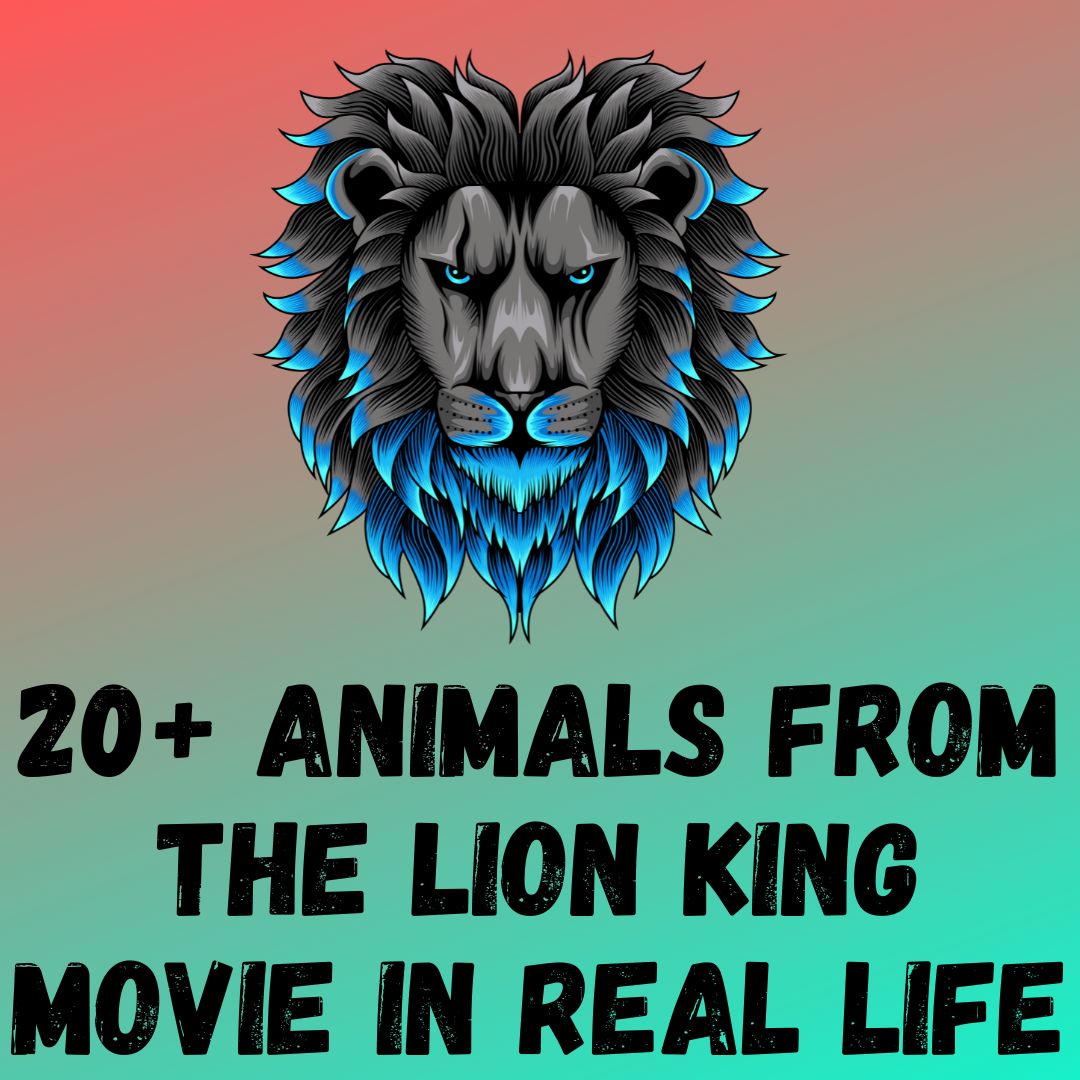 20+ Animals from The Lion King Movie You Must Know in Real Life