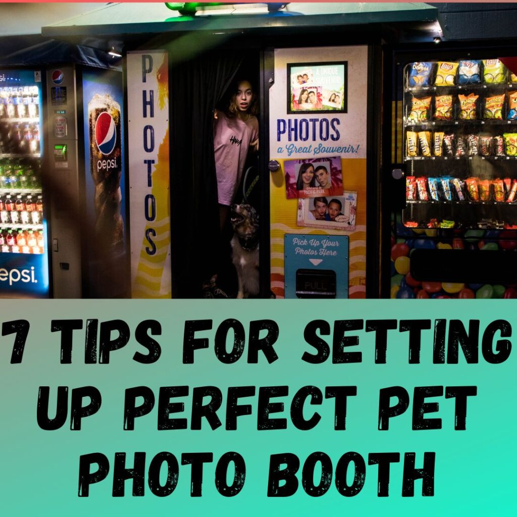 7 Tips for Setting Up the Perfect Pet Photo Booth