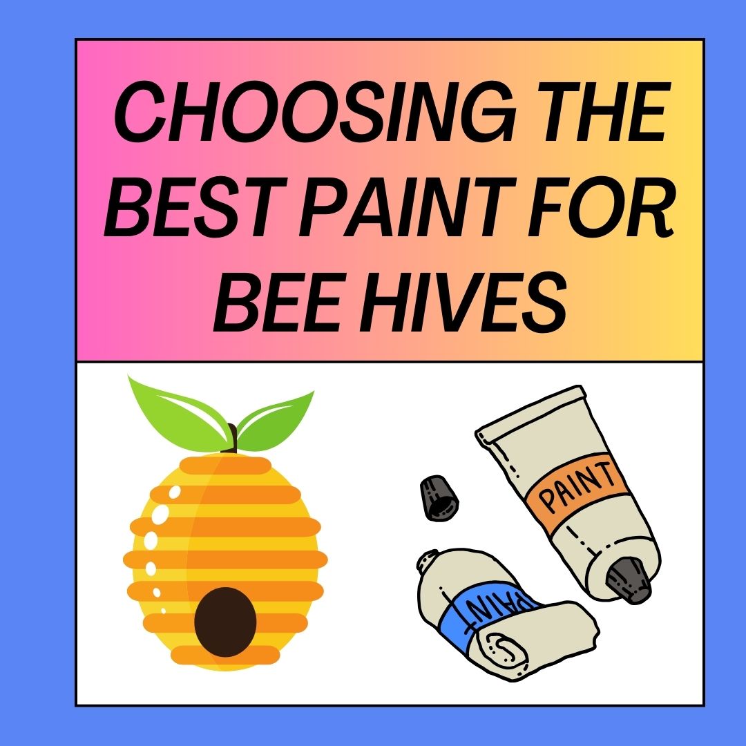 7 Best Paint For Bee Hives Complete Guide 2023