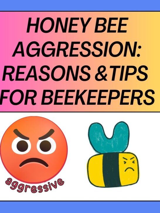 Honey Bee Aggression: Reasons and Tips for Beekeepers