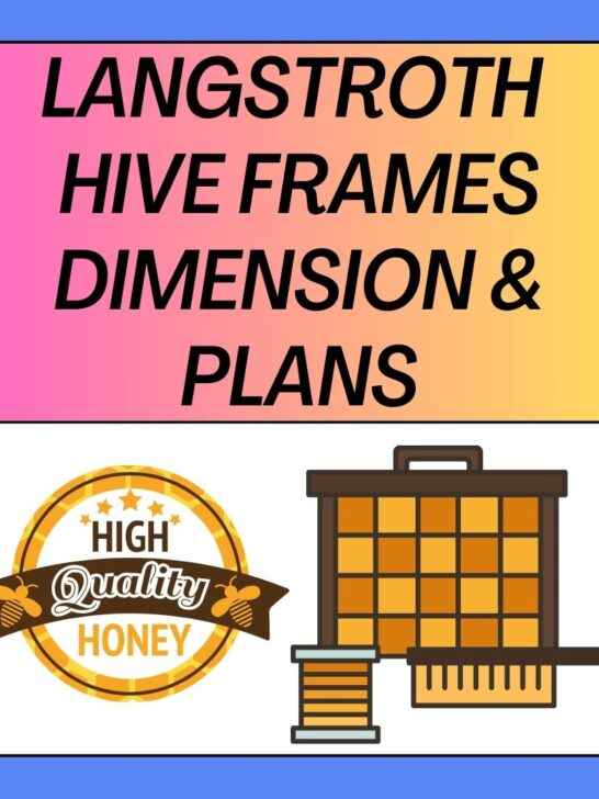 Langstroth Hive Frames Dimensions and Plans 2025