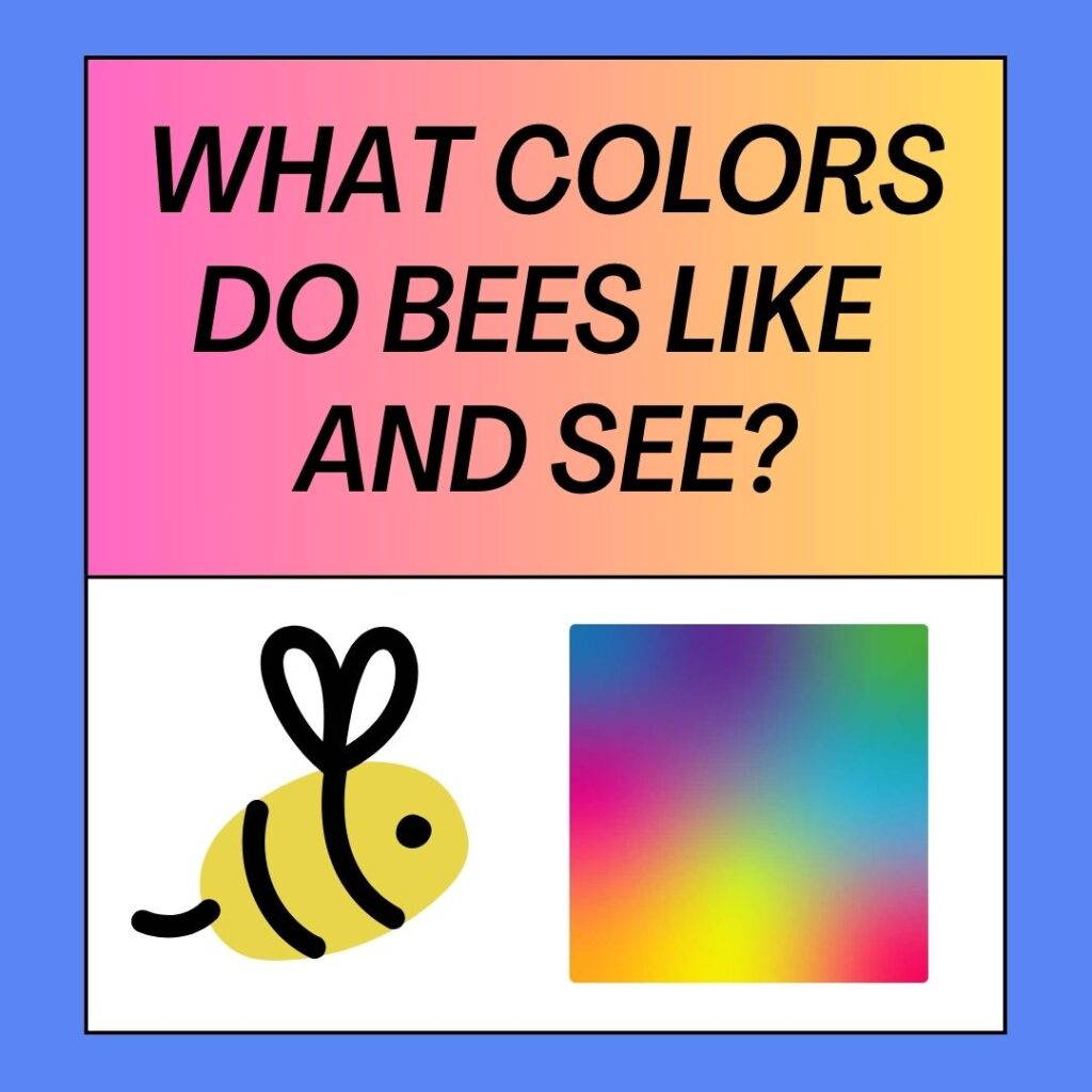 What Colors Do Bees Like And See? Bee's Color Spectrum