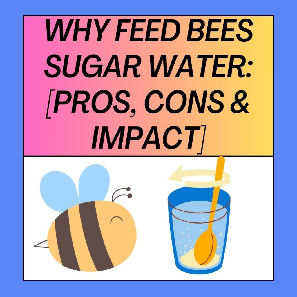 Why Feed Bees Sugar Water? [Pros, Cons And Concerns]