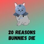 20 Reasons Bunnies Die: Causes Of Sudden Death In Rabbits