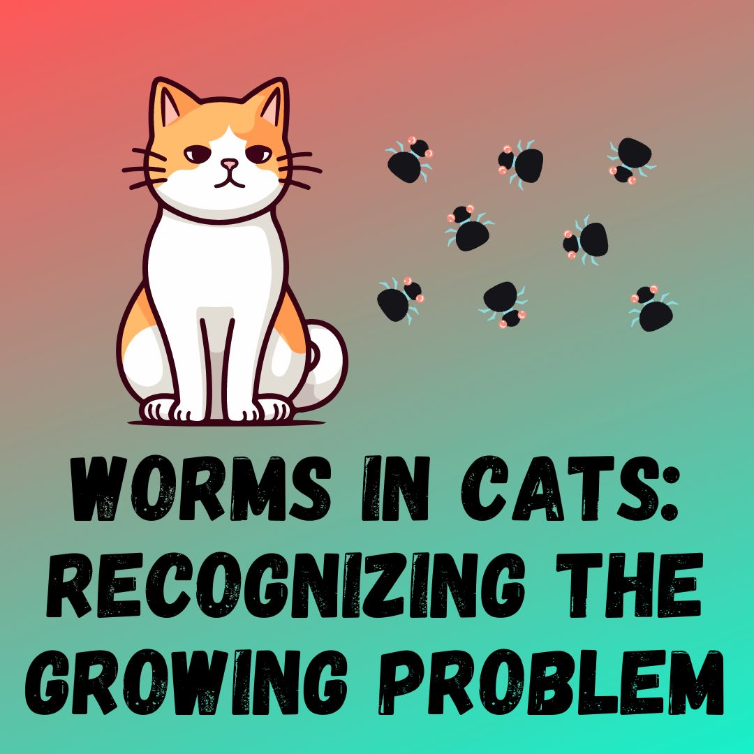 Worms in Cats: Recognizing the Growing Problem
