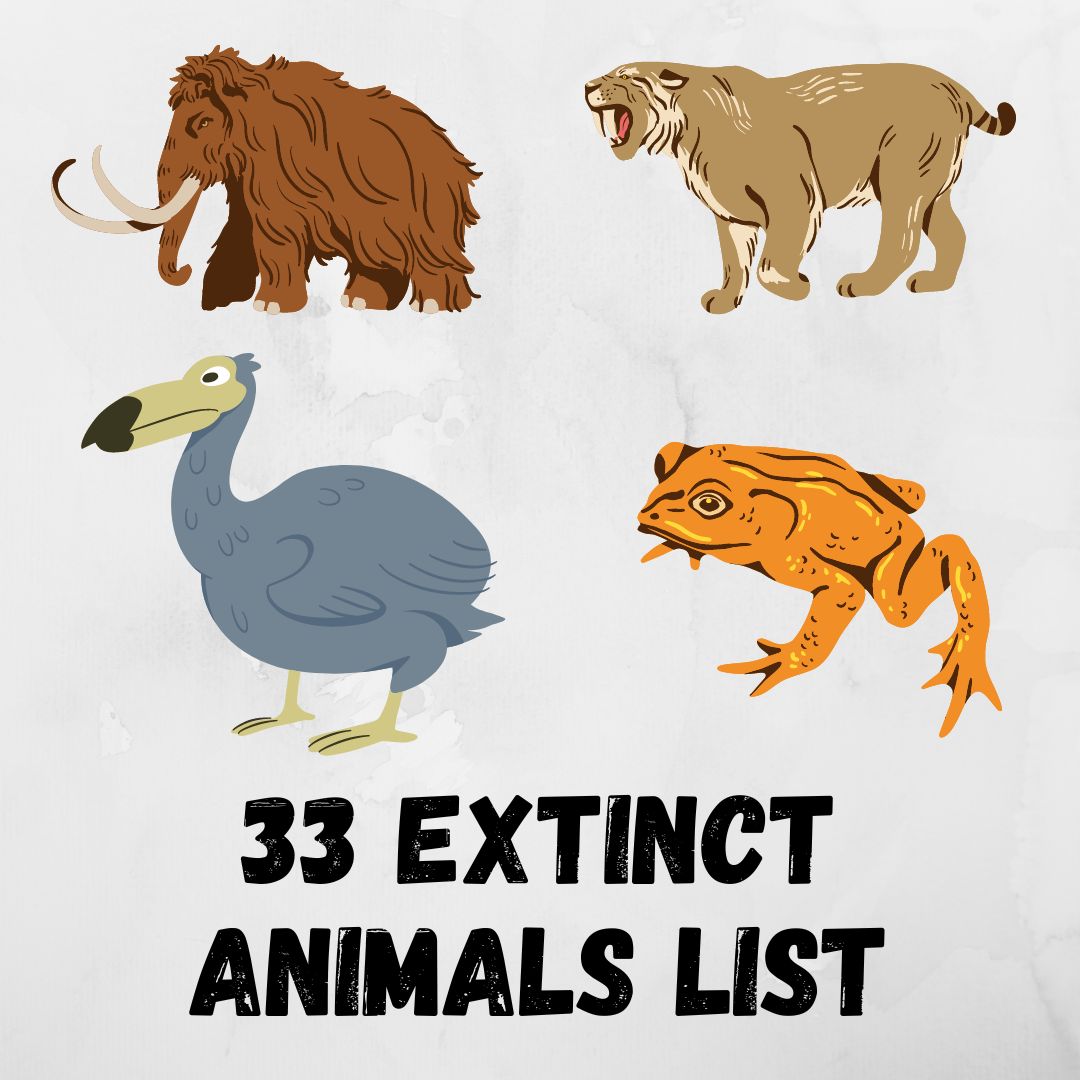 33 Extinct Animals: A Eulogy for Lost Species (With Pictures)