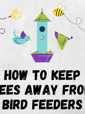 Keeping Bees Away from Hummingbird Feeders