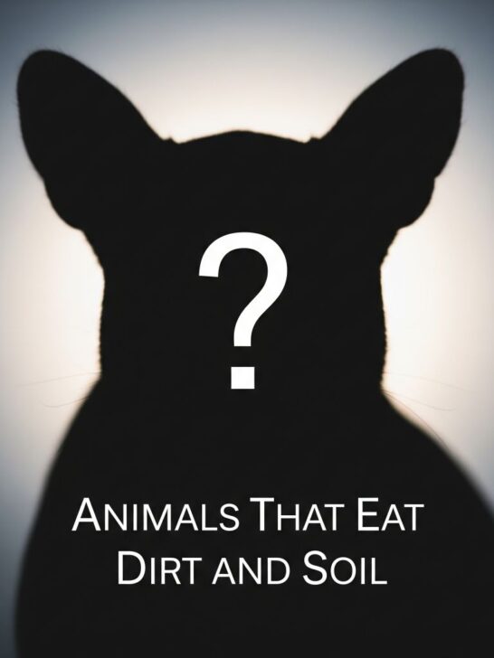 25 Animals That Eat Dirt and Soil You Must Know