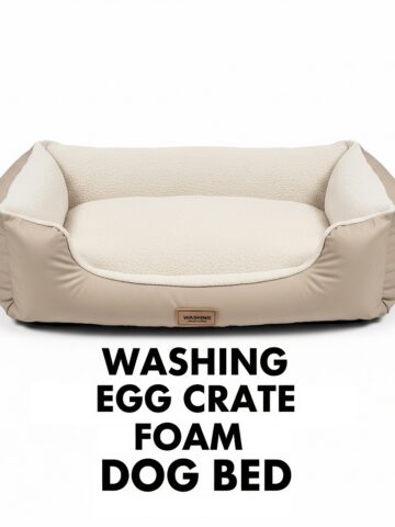 Can You Wash Egg Crate Foam Dog Bed?